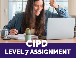 cipd level 7 assignments